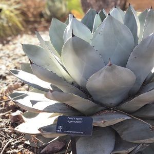 Meet your Posher, Kat